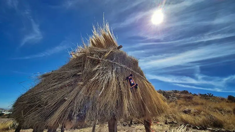 Inauguran Xiriki ceremonial Wixárika en Zacatecas